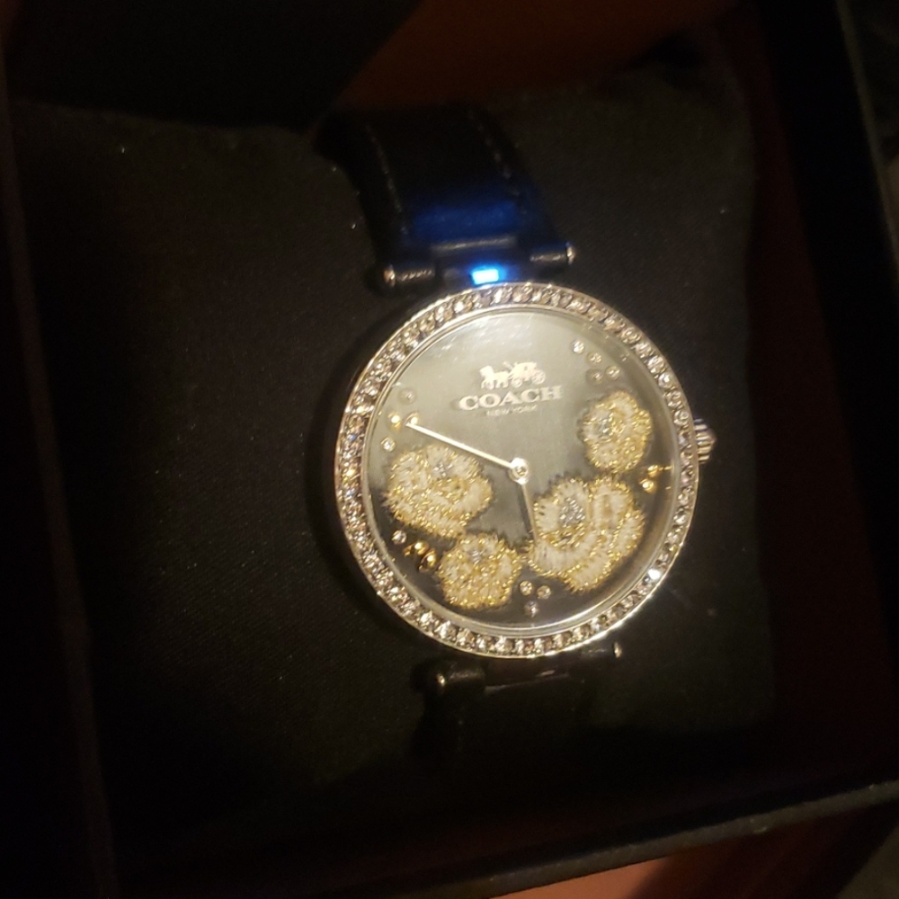 Coach watch